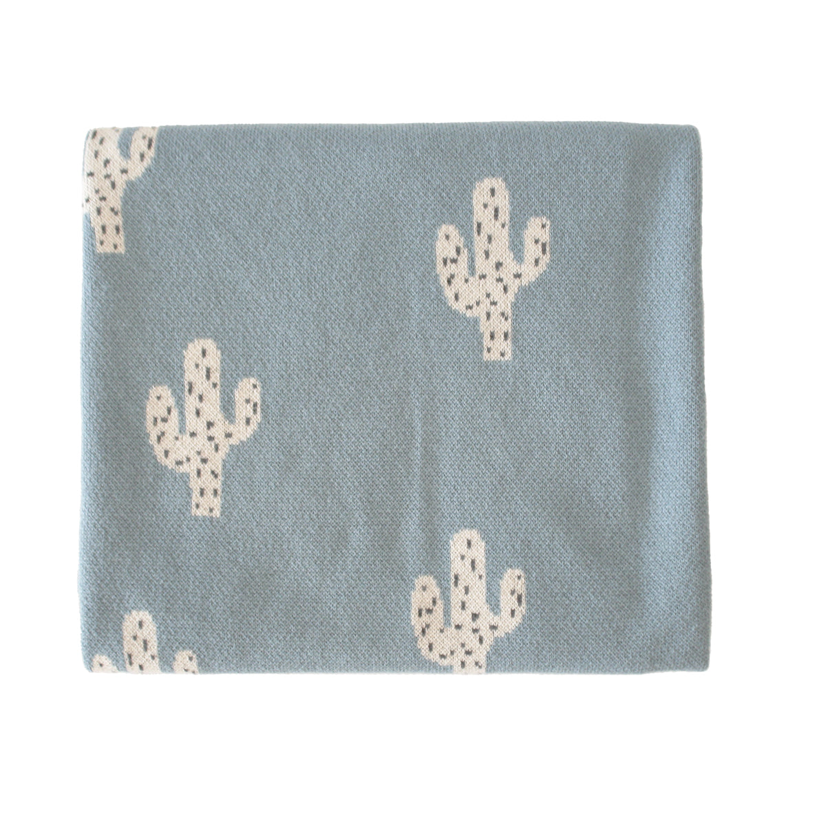 Cactus Baby Blanket Blue