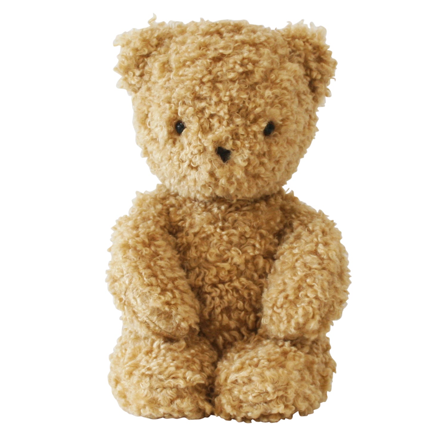 a close up of a teddy bear