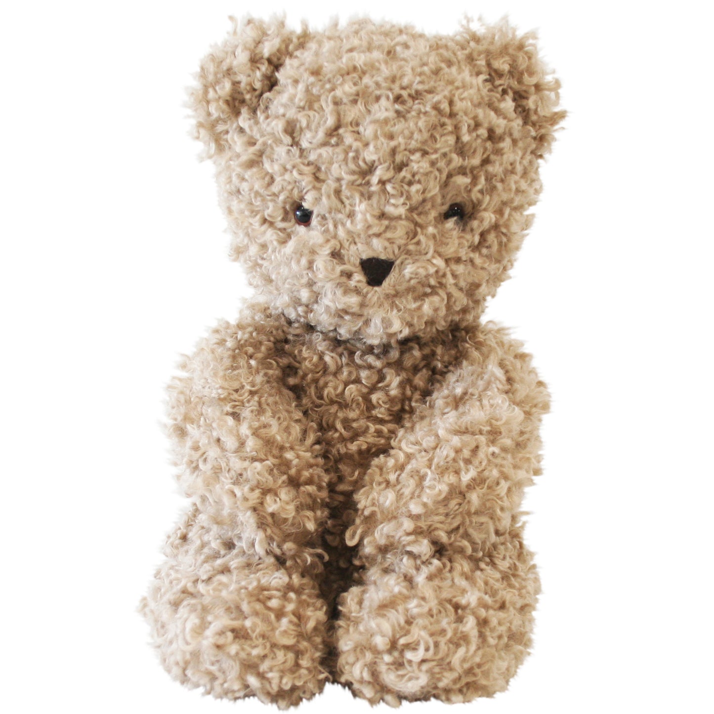 a close up of a teddy bear