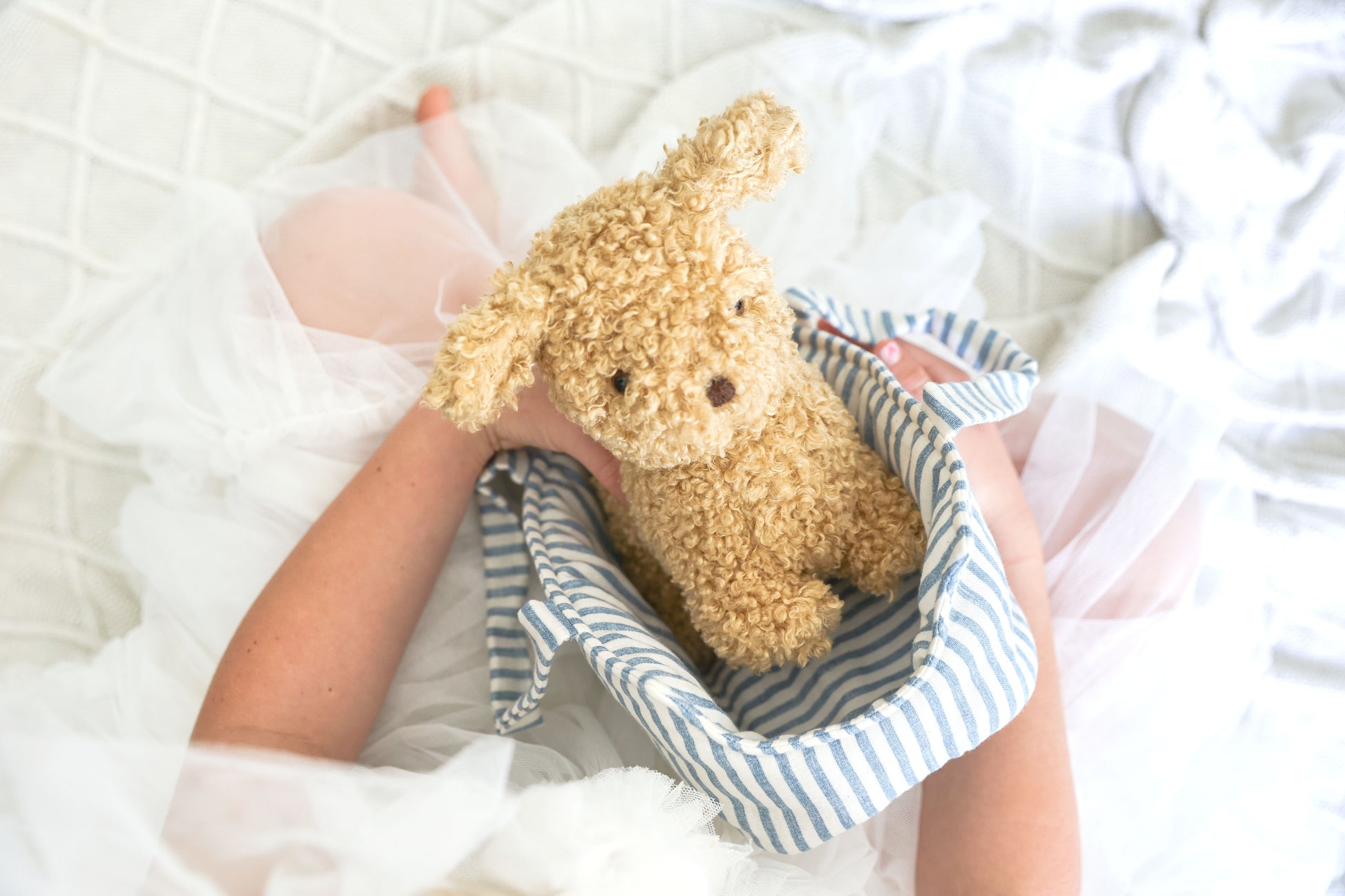 Small curly beige plush puppy named Toffee sitting inside a soft blue and white striped fabric carrier held by child on.